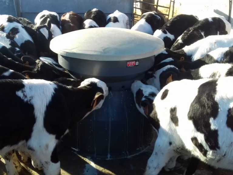 maxresdefault-1024x576